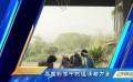 泰国影像中的温情与力量