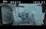 万玛才旦作品《雪豹》发布终极预告 人豹羁绊彰显影片温暖底色