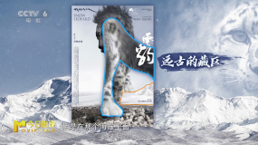 《雪豹》國(guó)際版海報(bào)影射人與自然和諧共生的精神理念