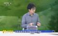 刘炎焱：宫崎骏以往作品以拼贴形式再现《你想活出怎样的人生》之中