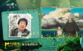《你想活出怎样的人生》中的舅公很像高畑勋，呈现对生命美好的向往