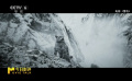 《雪豹》把生命的纯粹发挥到了极致