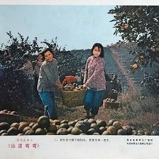 山道彎彎