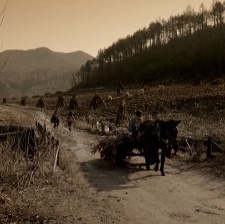 雷鋒在1959