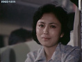 她從霧中來