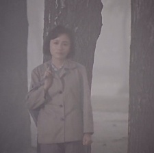 她從霧中來