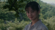 癡男怨女和牛