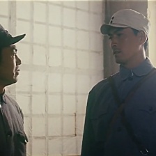 白馬飛飛