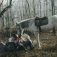 白馬飛飛