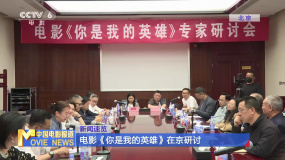 電影《你是我的英雄》在京研討