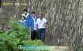 馬嶺頭茶葉基地：純天然養(yǎng)羊控草無公害