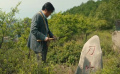 《末路狂花錢》探討財富和人生關(guān)系，最終領(lǐng)悟人生真諦