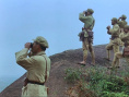 大進(jìn)軍——南線大追殲