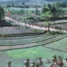 大进军——南线大追歼