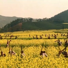 大轉(zhuǎn)折——挺進(jìn)大別山
