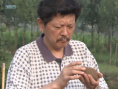 國寶迷蹤