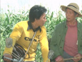 田野又是青紗帳