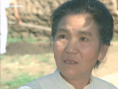 田野又是青紗帳