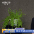 《我的阿勒泰》收官，馬伊琍于適為何被“偏愛(ài)”