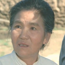 田野又是青紗帳