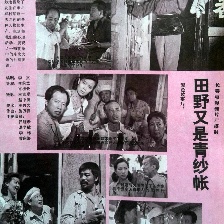 田野又是青紗帳