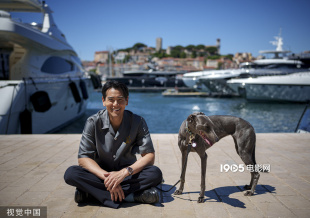 彭于晏爱犬入围“狗狗金棕榈” 前任获奖者是梅西