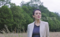 章子怡戛納之旅vlog