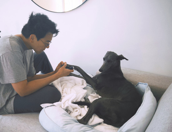 小辛凭《狗阵》获狗狗金棕榈 彭于晏发表获奖感言