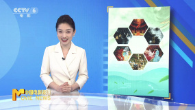 独家观察：影视作品牵手非遗文化 珠联璧合相映生辉