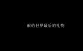《坂本龍一：杰作》發(fā)布“不忍說再見”特輯