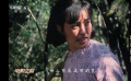 電影之歌——《小花》世上有朵美麗的花，那是青春吐芳華……