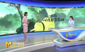《小妖怪的夏天：从前有座浪浪山》定档2025年暑期
