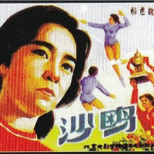 沙鷗