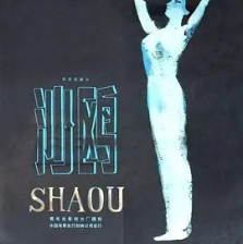 沙鷗
