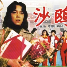 沙鷗