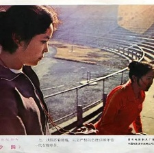 沙鷗