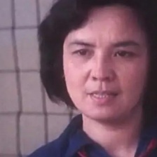 沙鷗