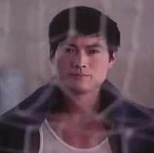 沙鷗