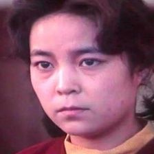 沙鷗