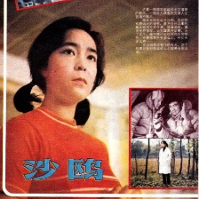 沙鷗