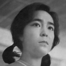 沙鷗