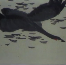 雁陣