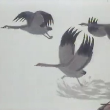 雁陣