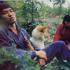 野山