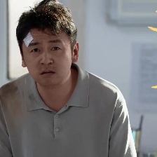 第二十條