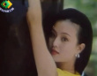相爱在西双版纳