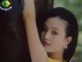 相爱在西双版纳
