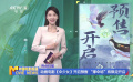動畫電影《傘少女》開啟預(yù)售 “撐傘場”將限定開啟