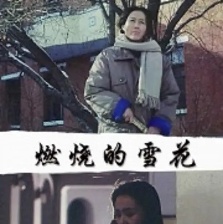 燃燒的雪花