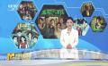 從光影到人生 “求生島”中癌癥患者的困境與希望